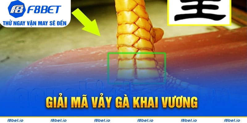 Giải mã chi tiết vảy gà khai vương cho tân thủ