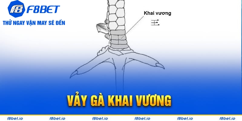 vảy gà khai vương