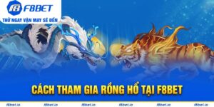 rồng hổ f8bet